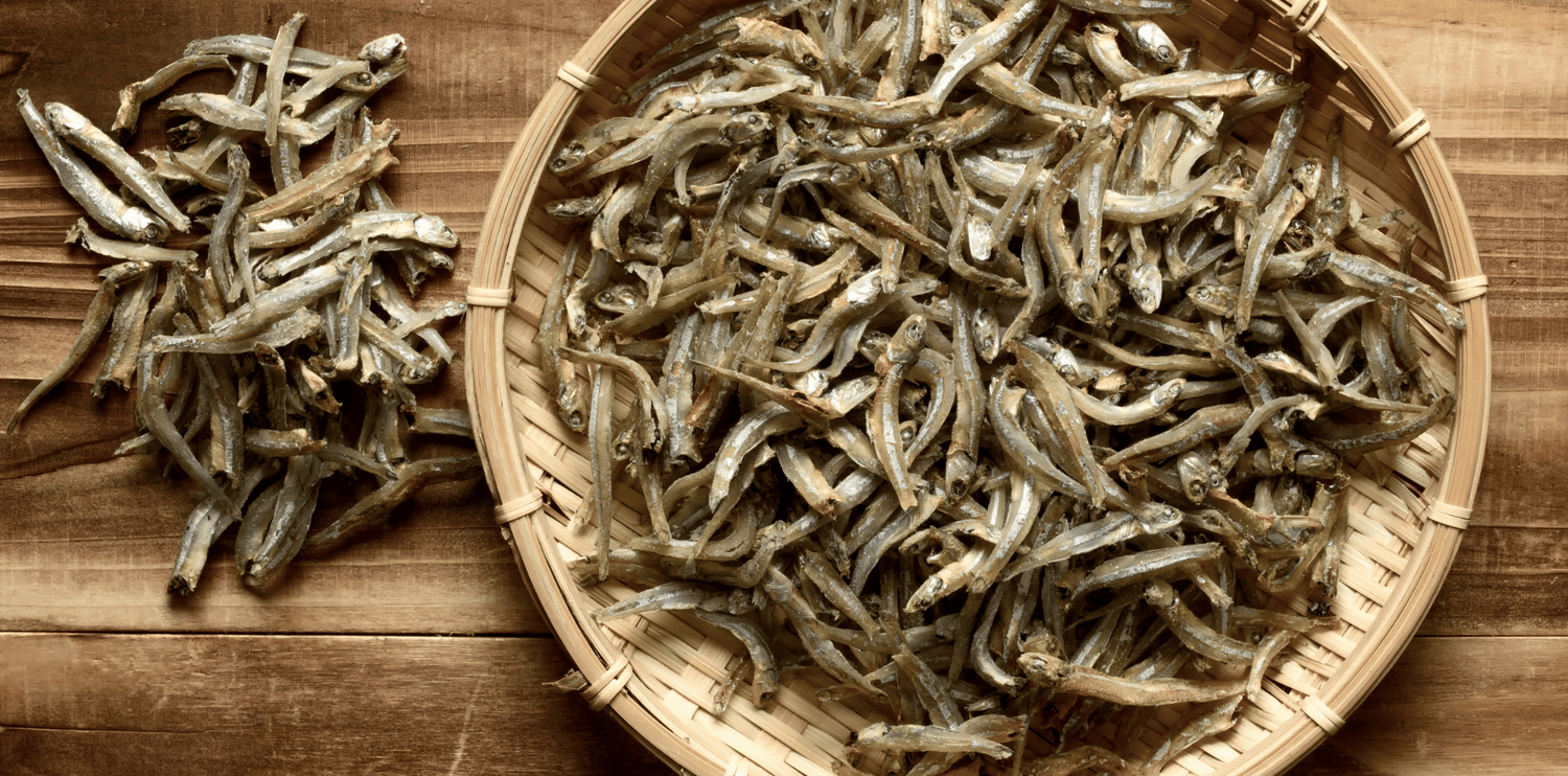 Les Anchois Séchés : Une friandise savoureuse pour votre chien