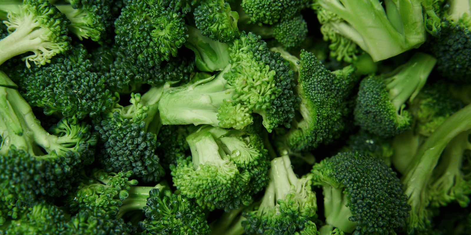 brocoli-chien-bienfait-alimentation-croquettes