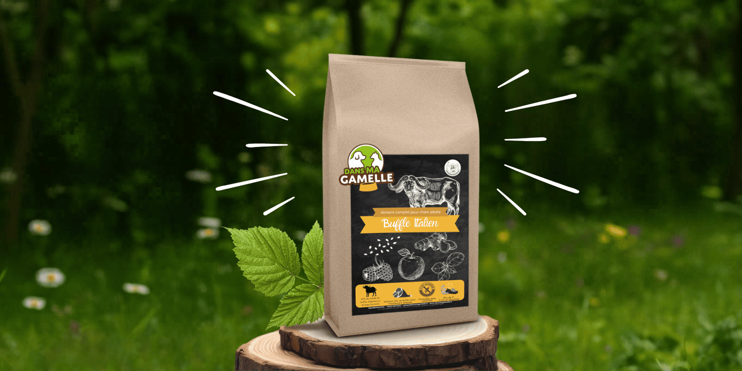 buffle-italien-croquettes-chien-adulte-sans-céréales