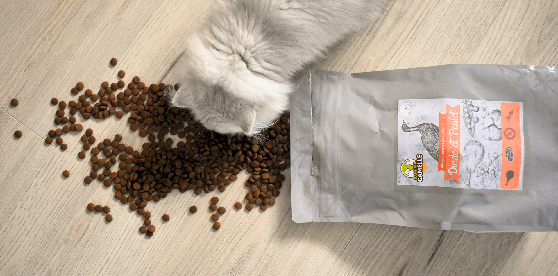 Recette chat : Dinde et Poulet ! - DansMaGamelle
