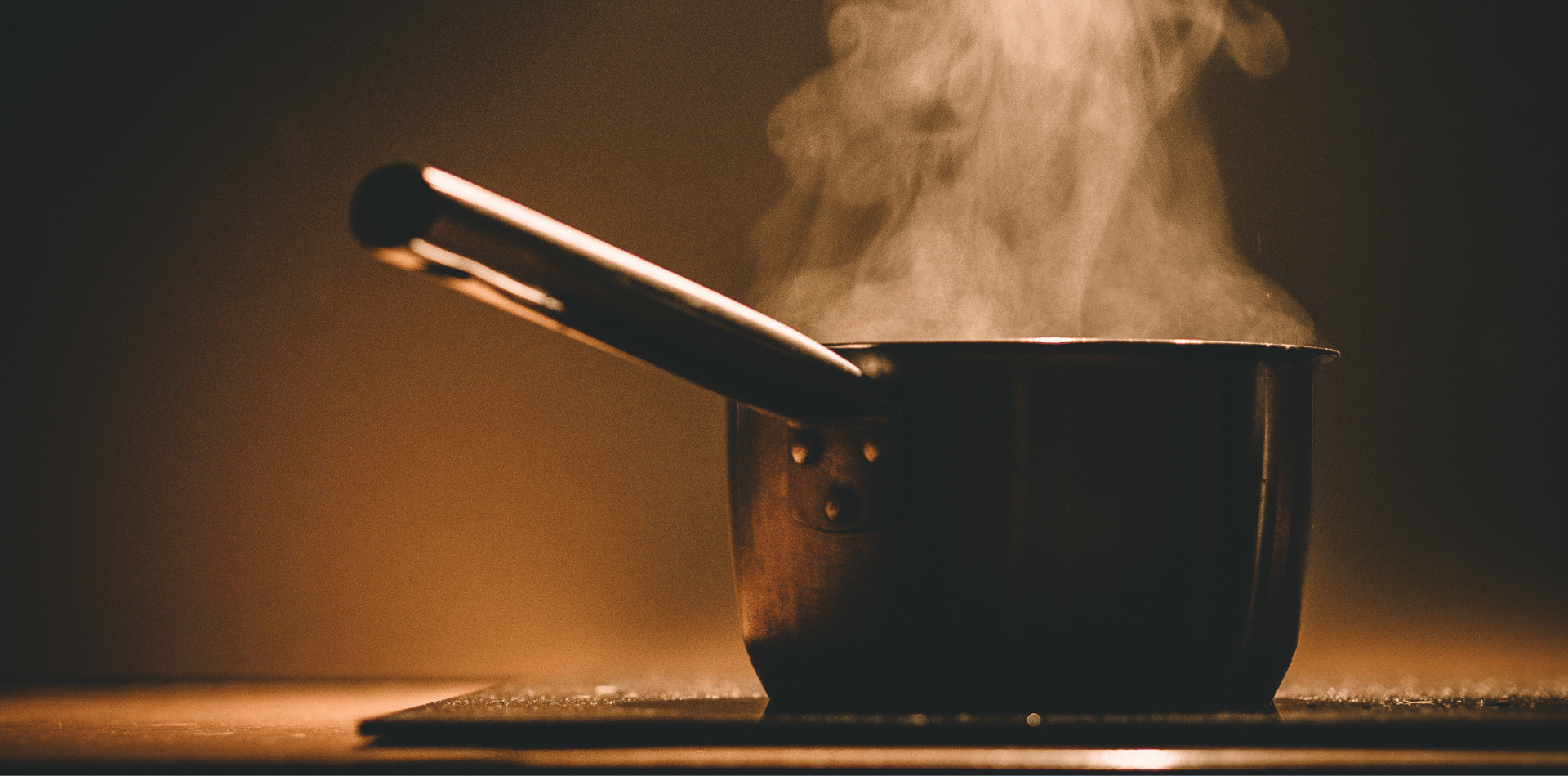 L'importance de la cuisson basse température dans les croquettes pour chiens et chats