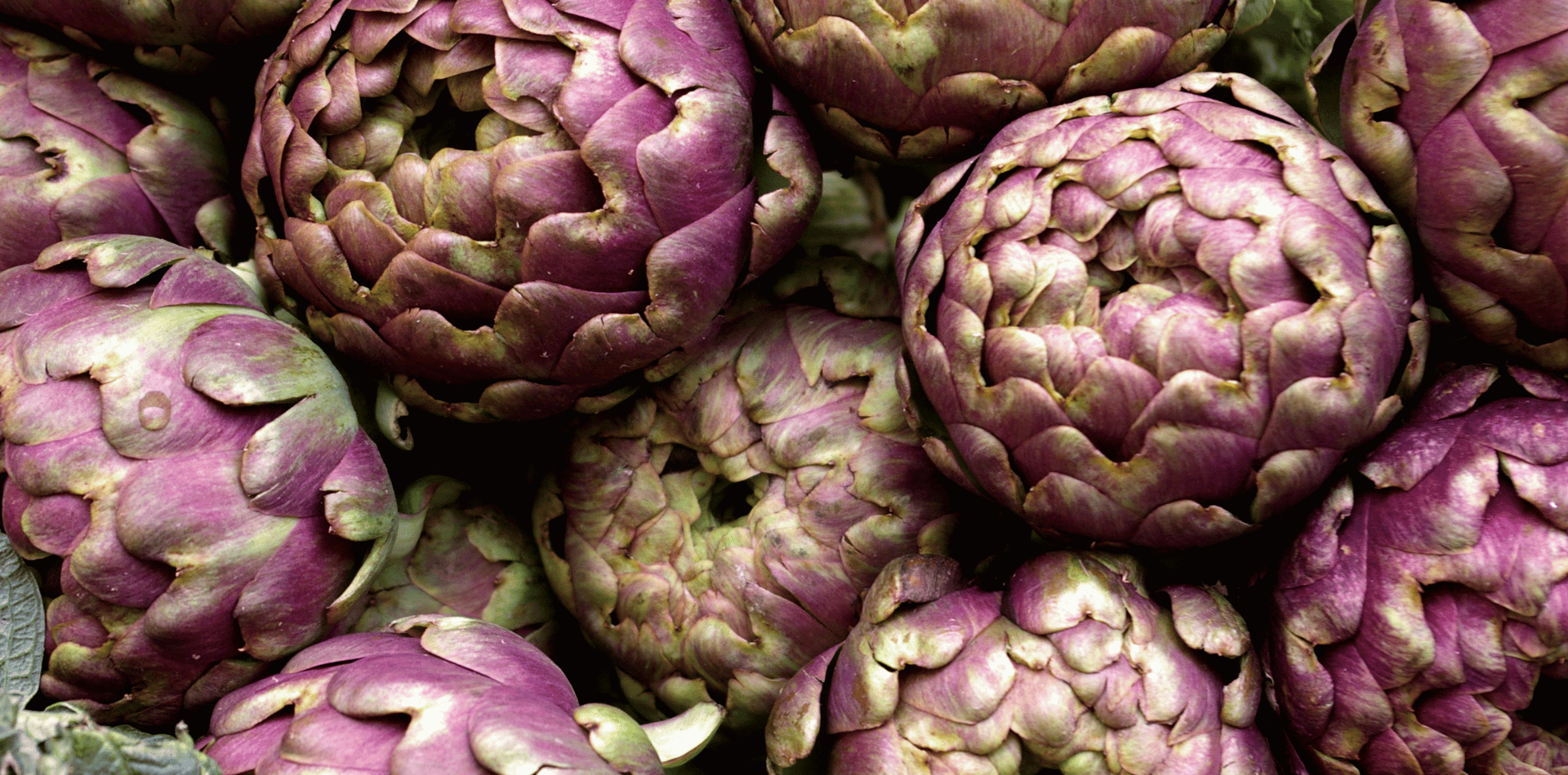 artichaut bienfaits chien croquettes sans céréales au poulet plein air