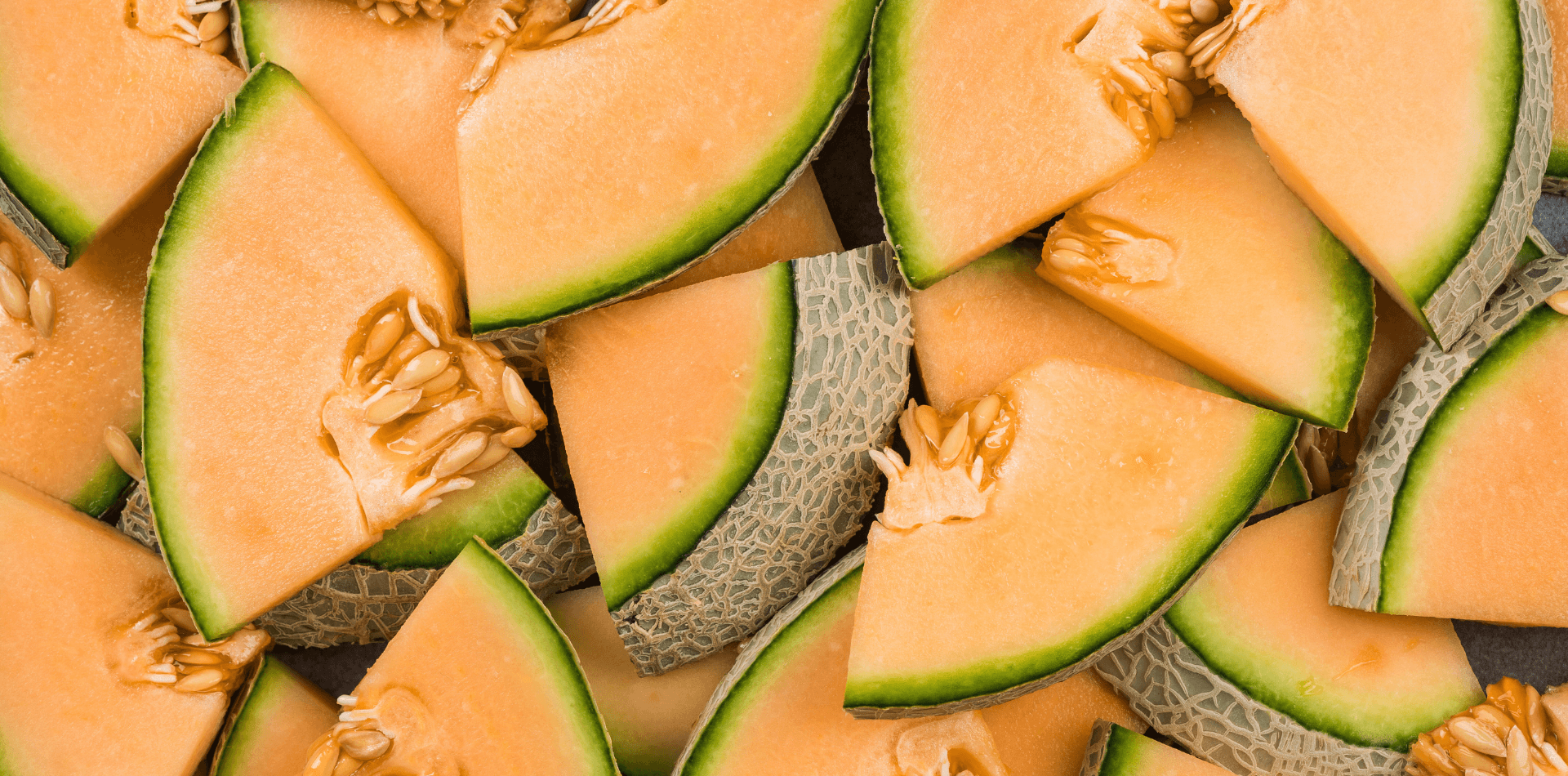 Le melon est-il bon pour nos chiens et chats ? - DansMaGamelle