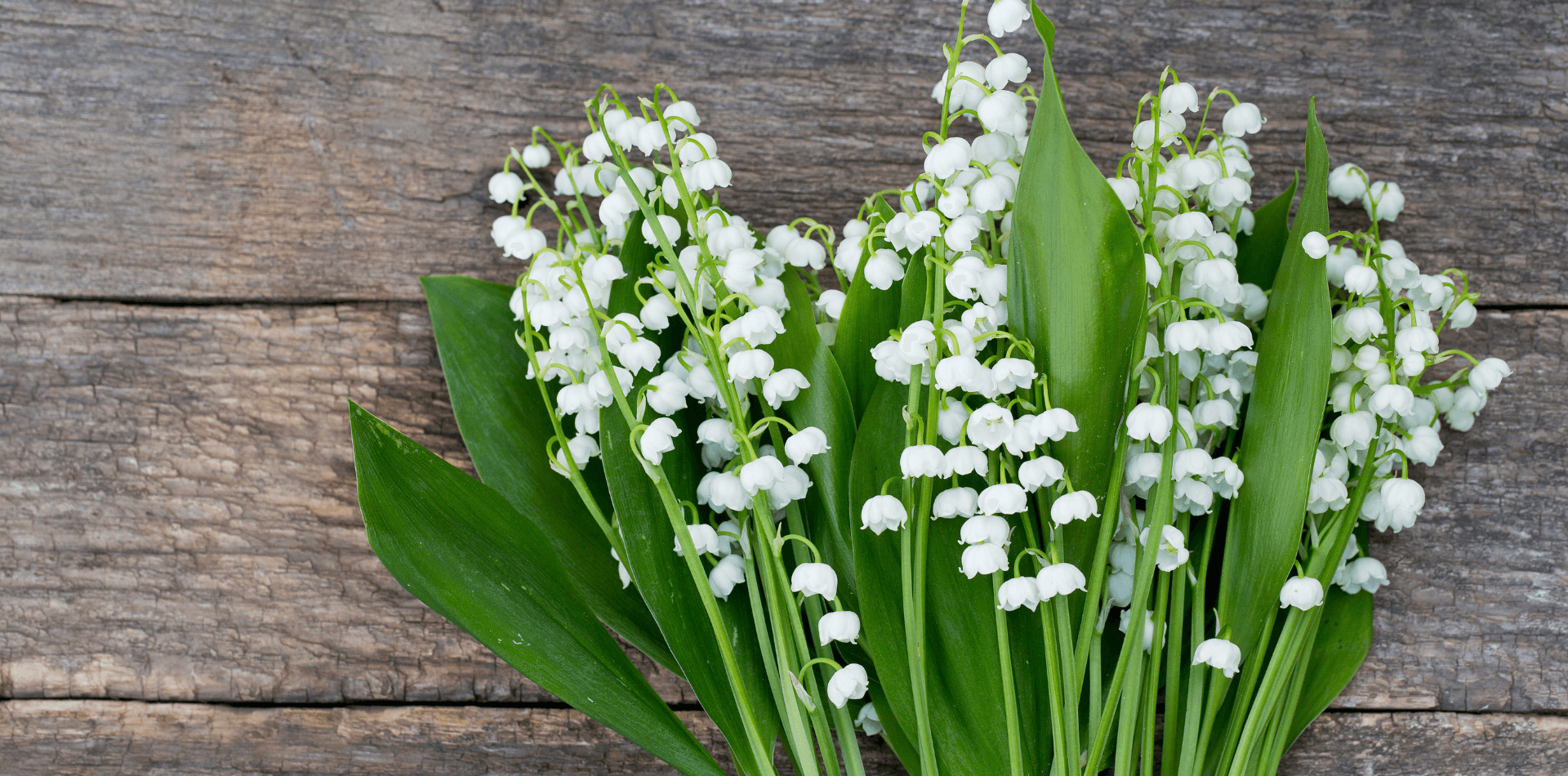 Le muguet - DansMaGamelle