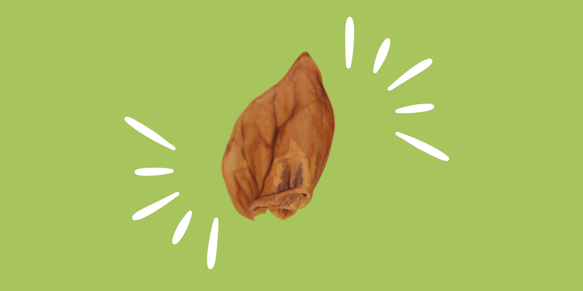 oreille-porc-chien-mastication-sans-céréales