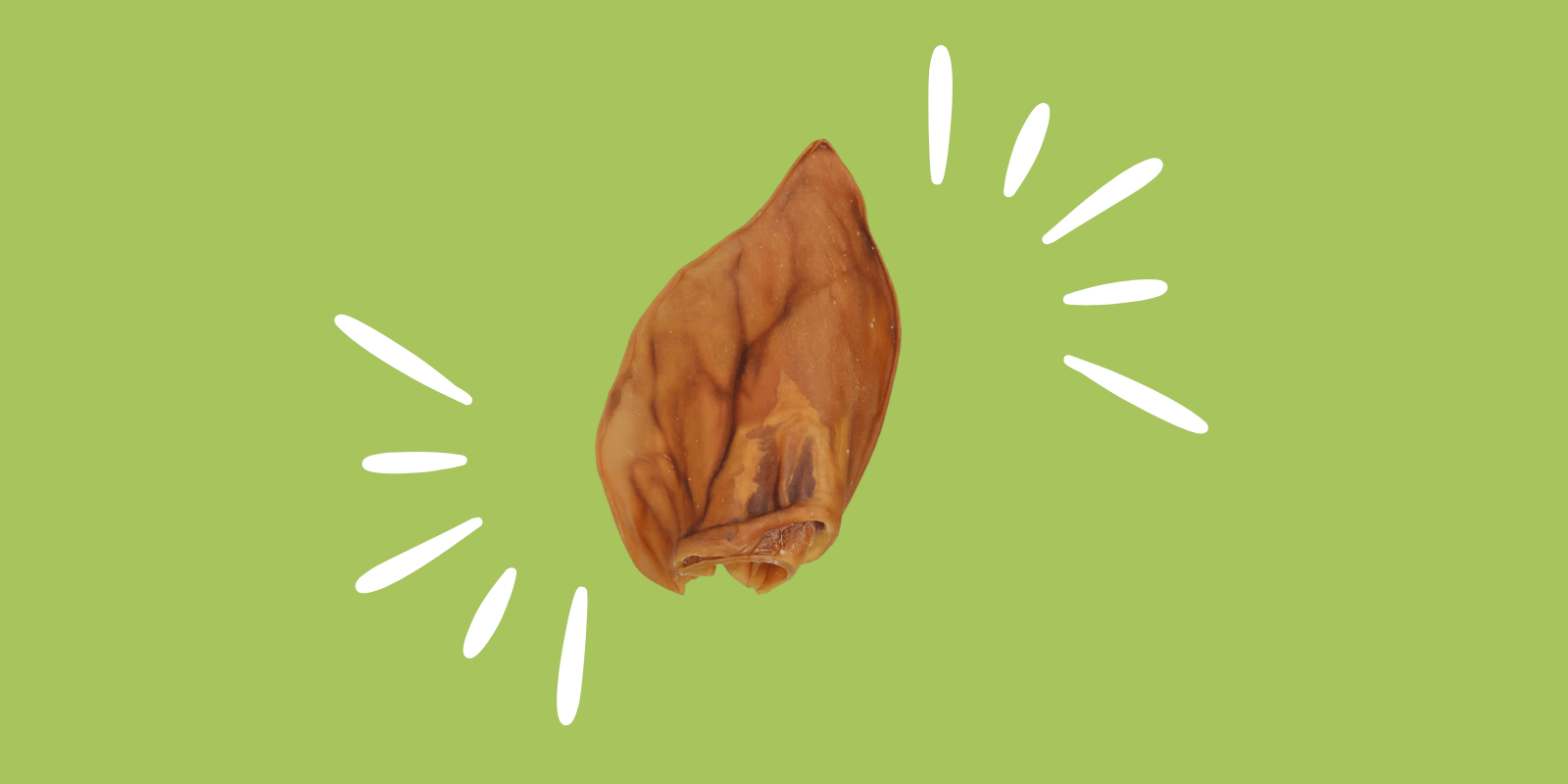 oreille-porc-chien-mastication-sans-céréales