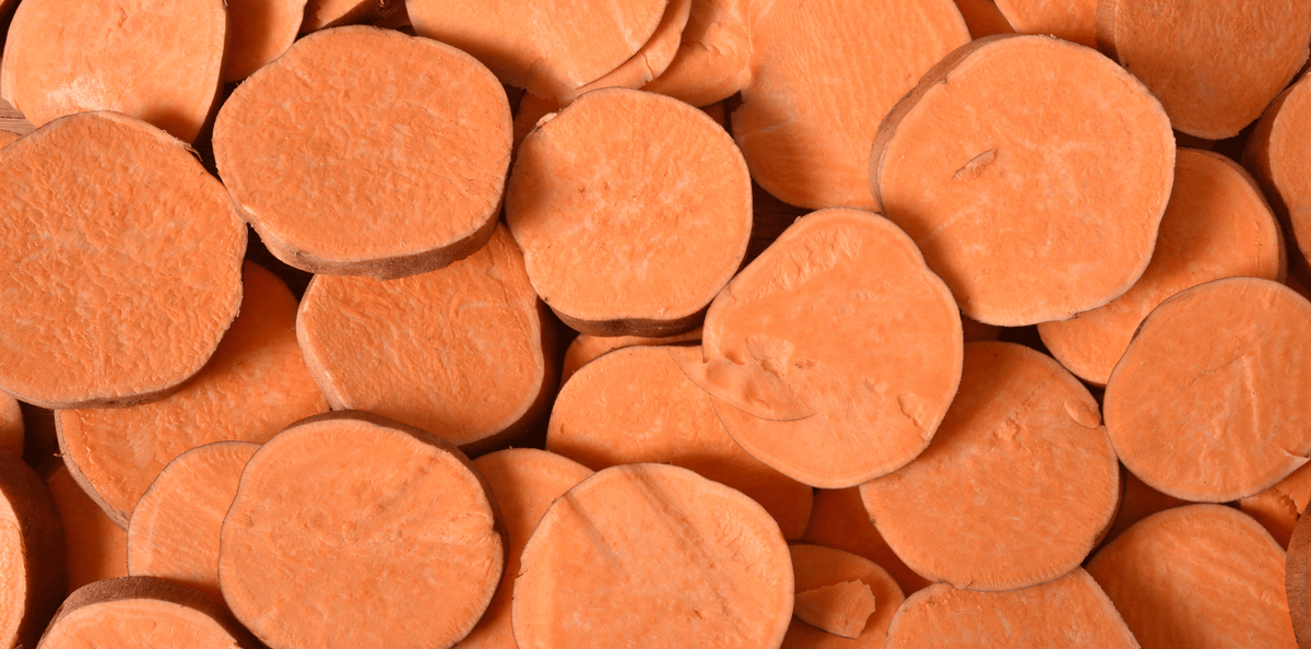 Les avantages des croquettes à la patate douce pour chiens