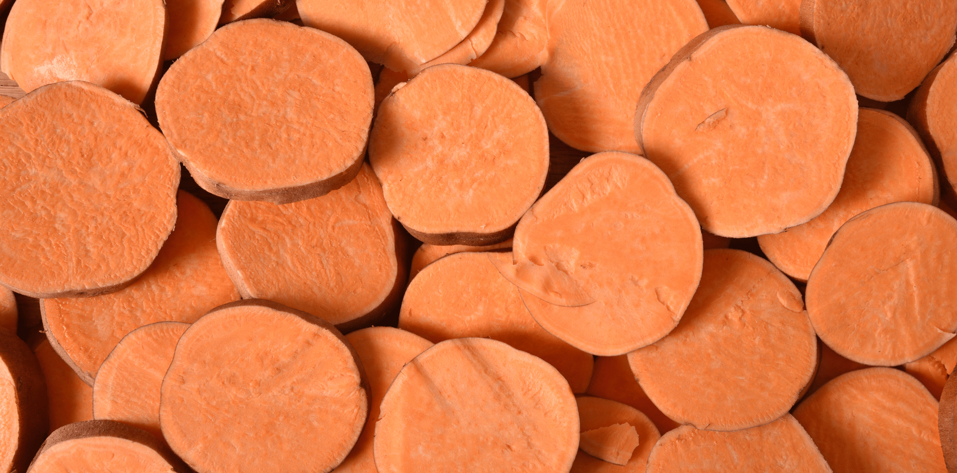 Les avantages des croquettes à la patate douce pour chiens