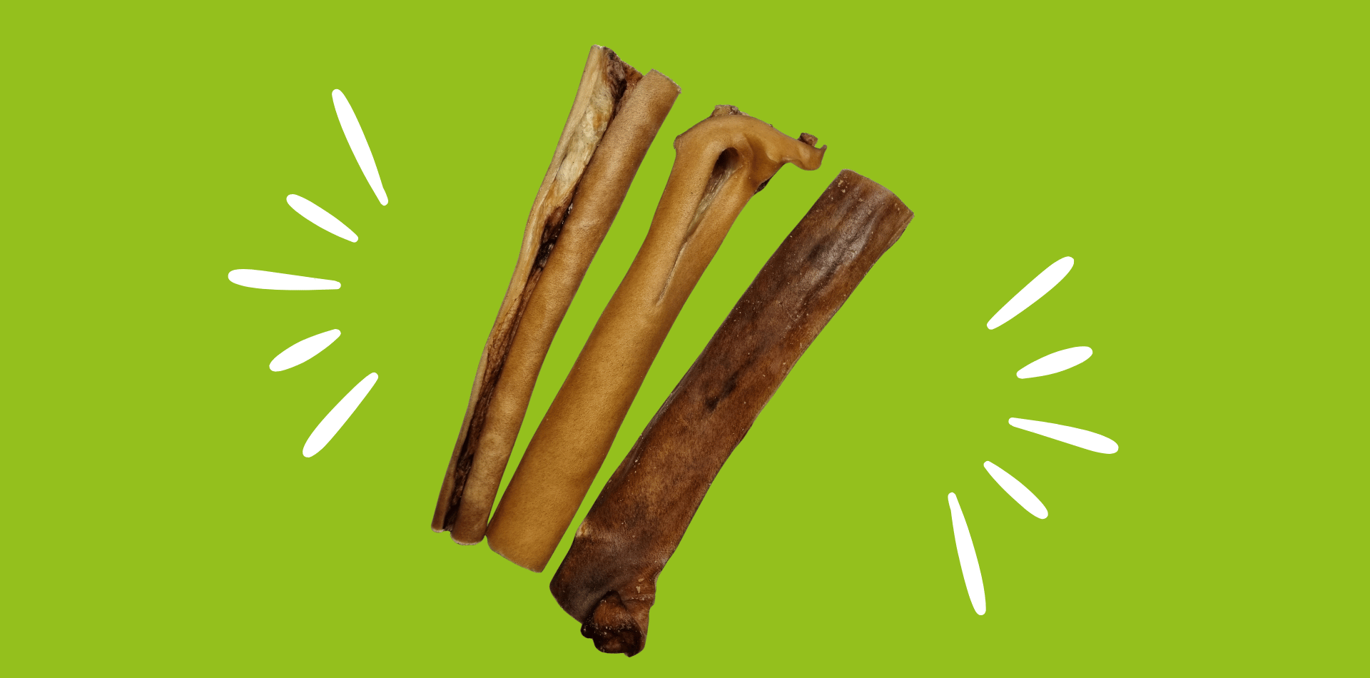 peau-tete-boeuf-chien-mastication