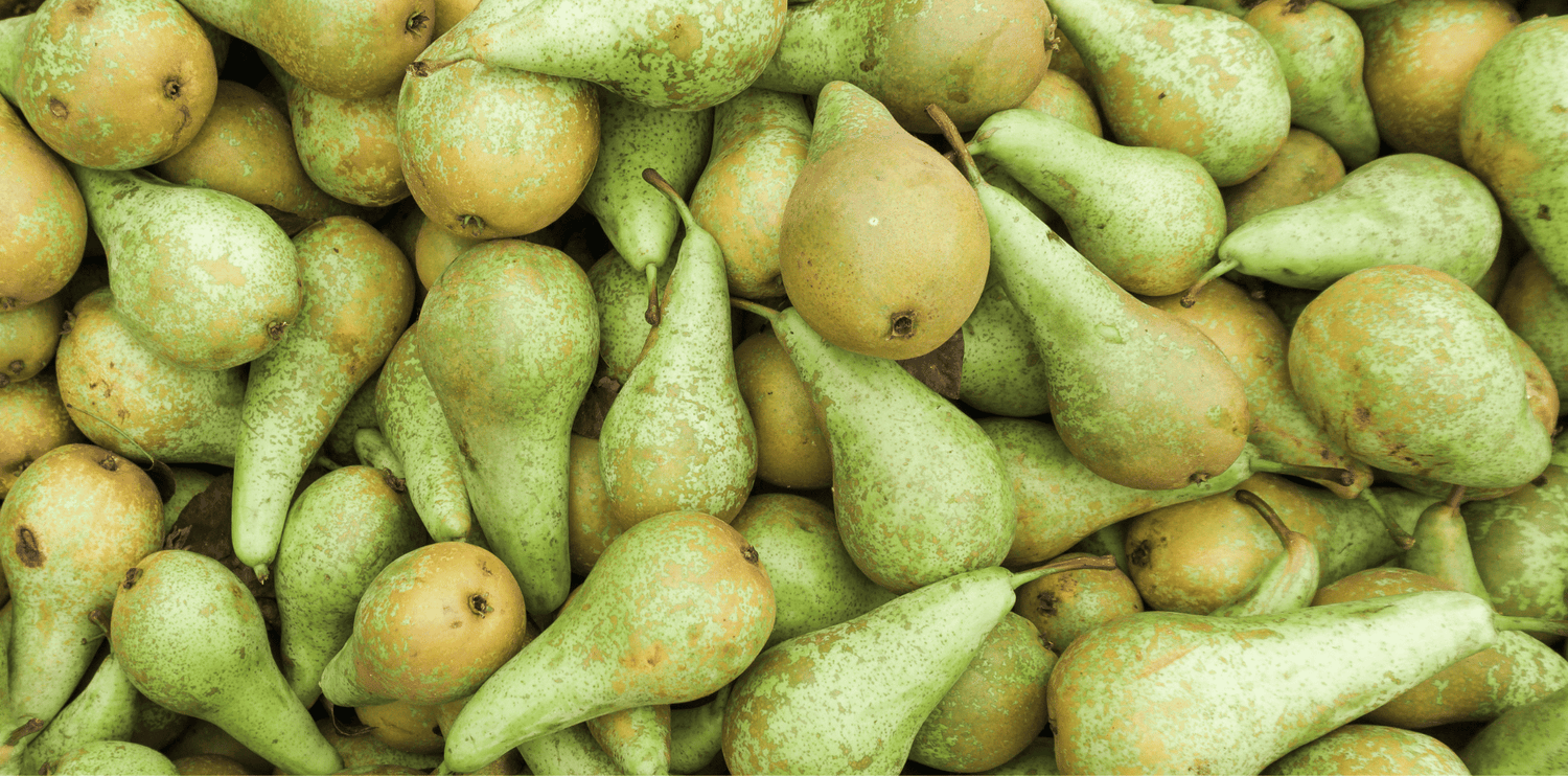 poire-toxique-chien-et-chat-bienfaits-vitamines