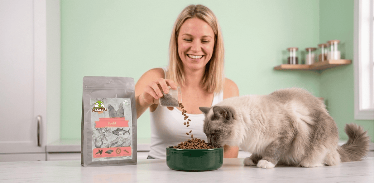 Croquettes chats sans céréales - Dans Ma Gamelle