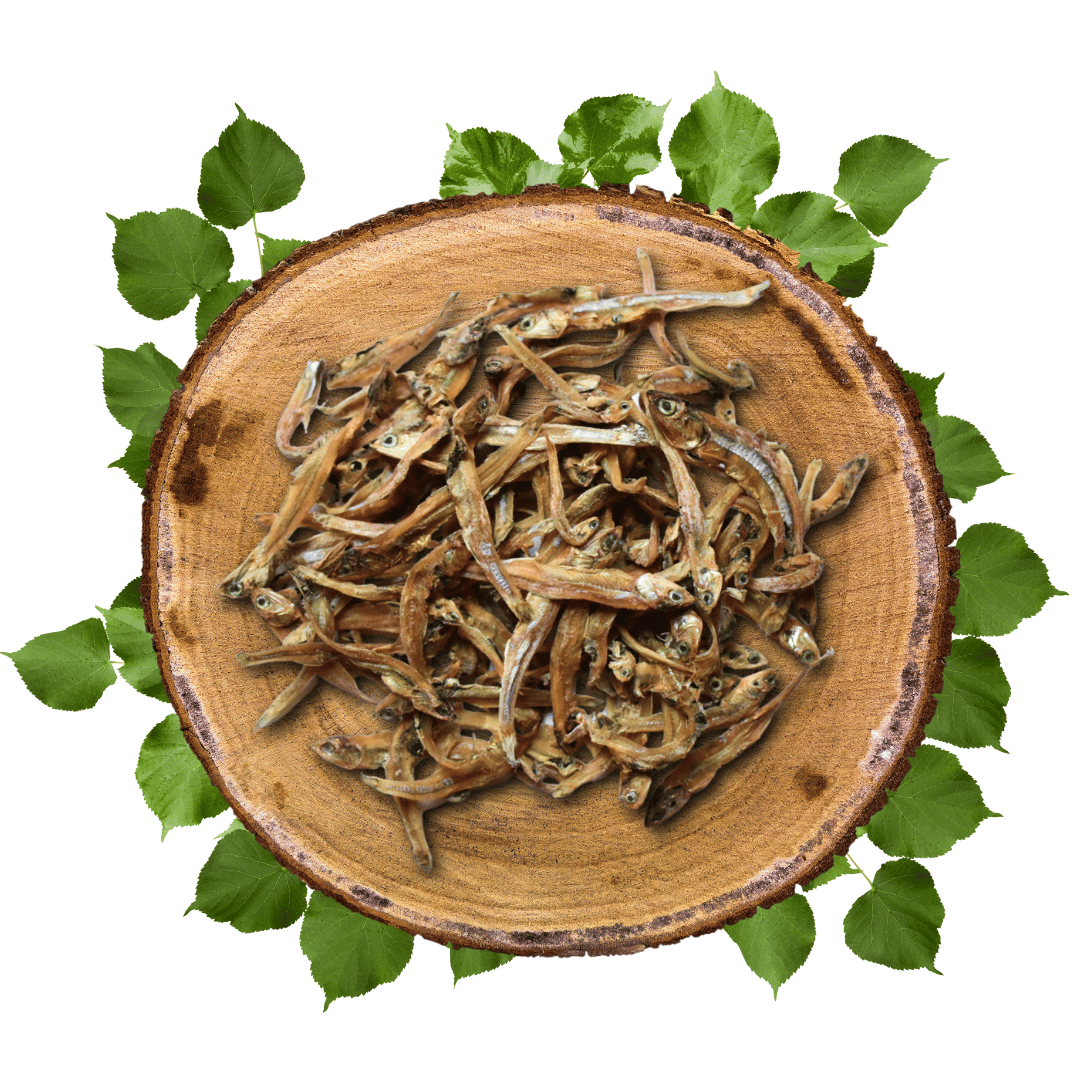 Anchois séchés