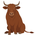 Bœuf