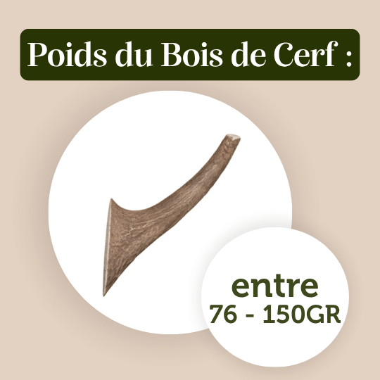 Bois de cerf Chien friandise naturelle mastication poids