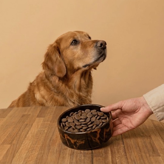 Croquettes sans céréales au Poulet - Chiens moyennes races - Dans Ma Gamelle