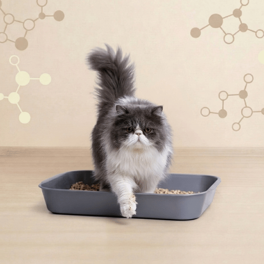 Croquettes Peptides sans céréales : Urinary Care - Chat Adulte