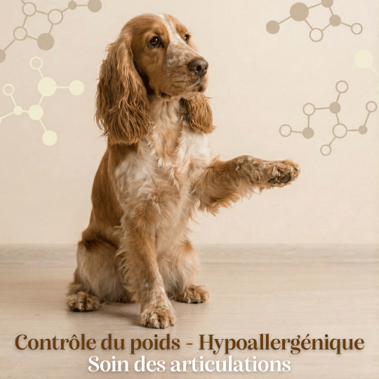 Croquettes Peptides sans céréales : Contrôle du poids et Articulations - Chien Adulte