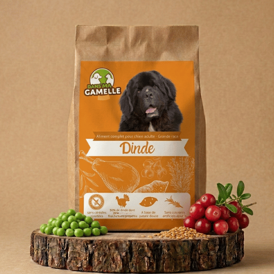 Croquettes chien grande race saumon sans céréales dansmagamelle