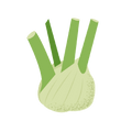 Le Fenouil