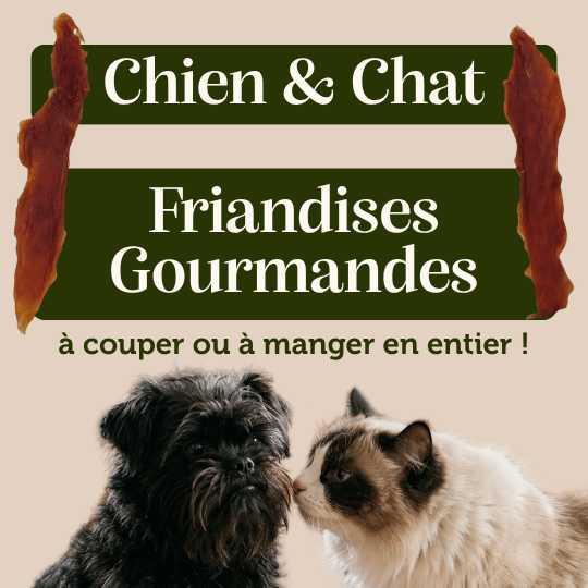 Filets de Canard séchés