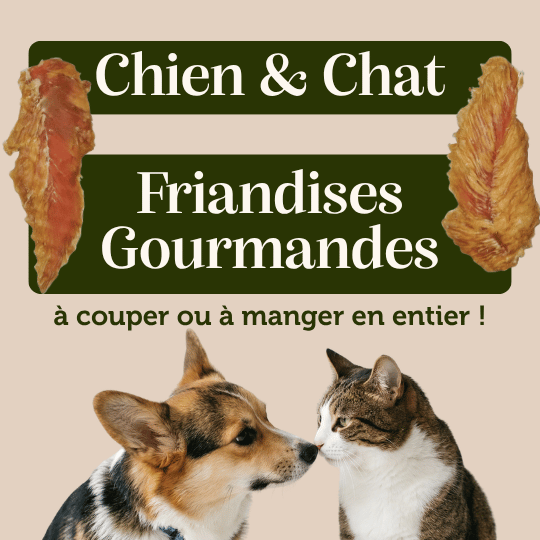 Filets de poulet pour chien et chat friandise naturelle appétante
