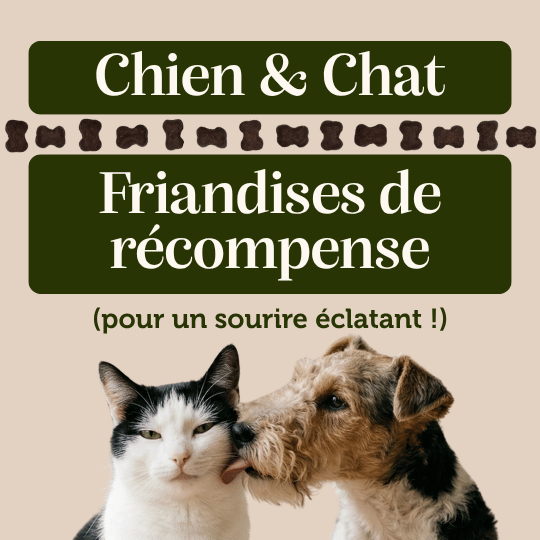 Friandises "Dentaire" sans céréales - Chiens et Chats - DansMaGamelle