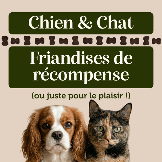 Friandises "Volaille" sans céréales - Chiens et Chats - DansMaGamelle