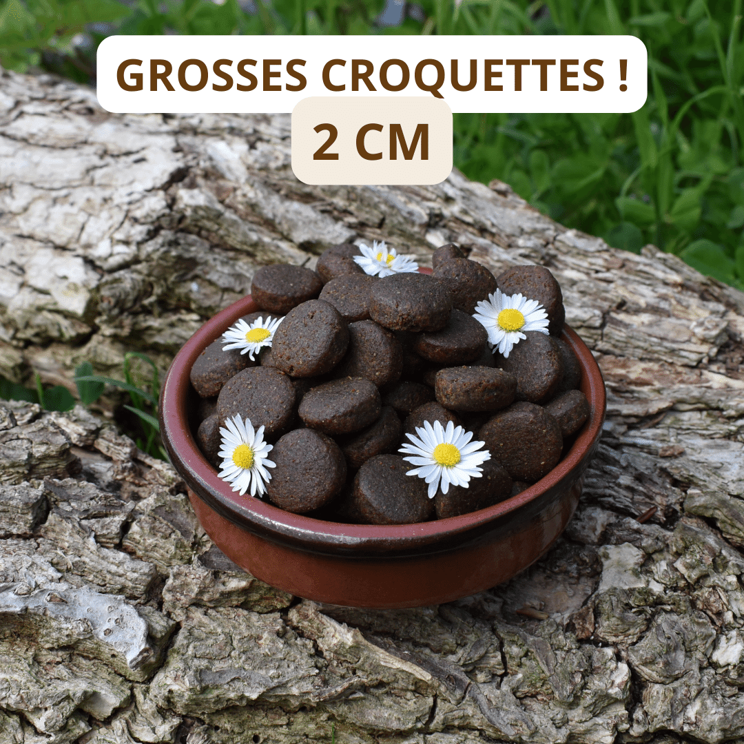 Croquettes sans céréales au Saumon - 12Kg - Chiens grandes races - DansMaGamelle