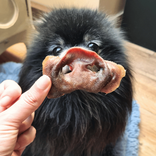 Groin de Porc séché friandise de mastication - Dans Ma Gamelle