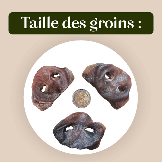 Groin de Porc séché friandise de mastication - Dans Ma Gamelle