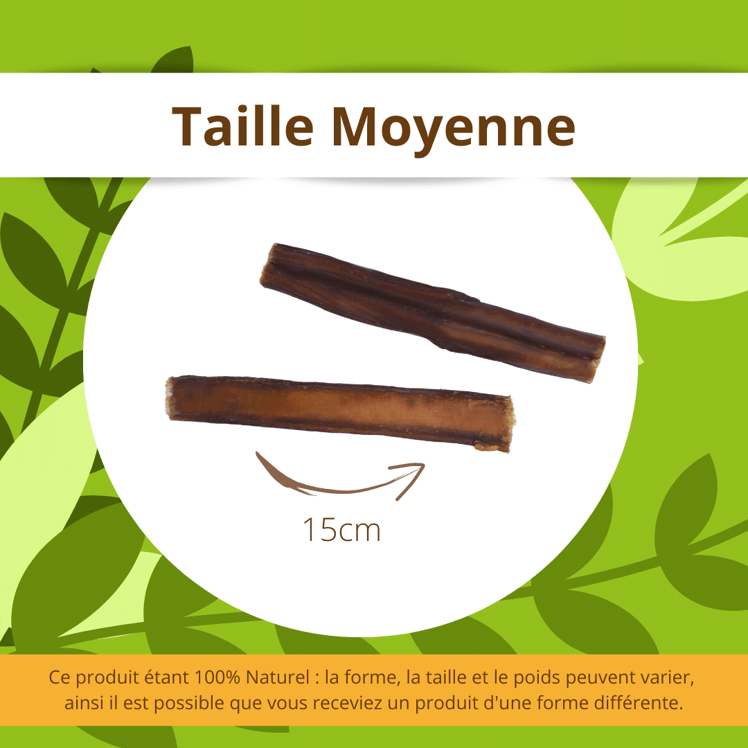 Nerf de bœuf - DansMaGamelle