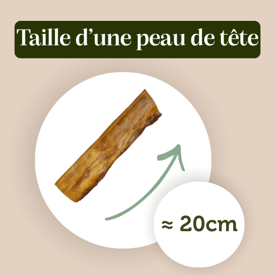 Peau de tête de bœuf