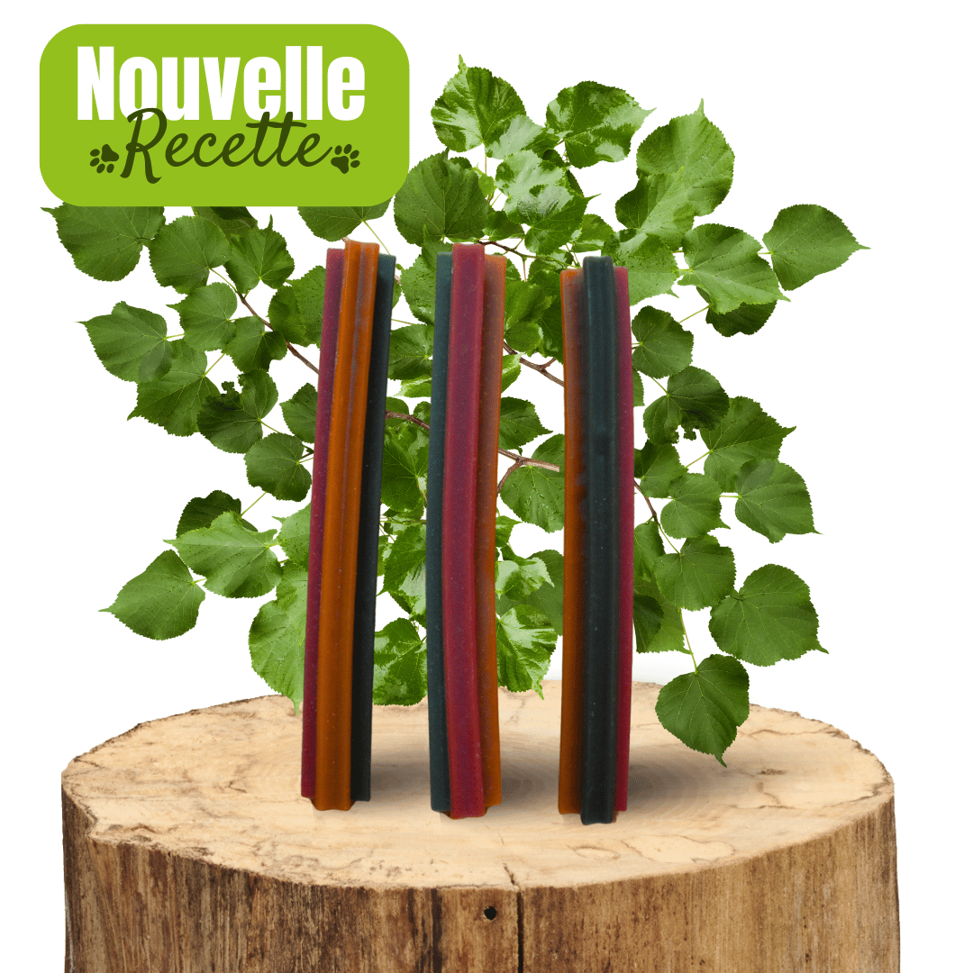 Barres dentaires - Chiens Adultes