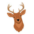 Cerf