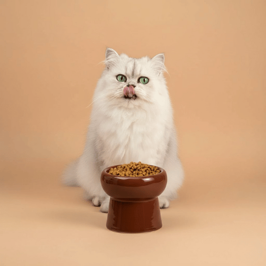 Croquettes sans céréales - Canard et Sardines pour chat stérilisé et sénior