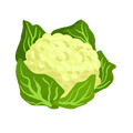 Le Chou-Fleur
