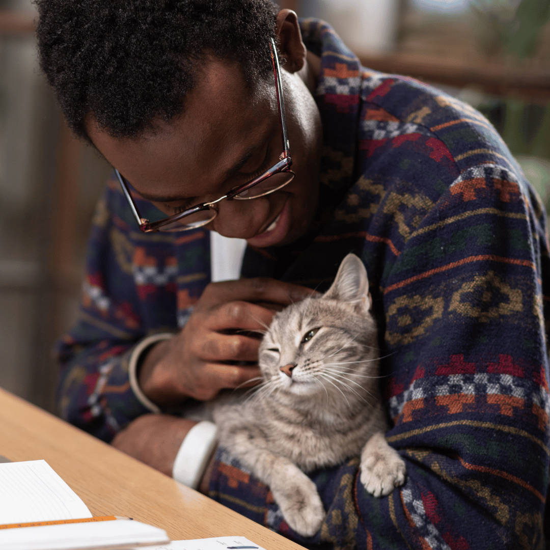 Croquette chat stérilisé