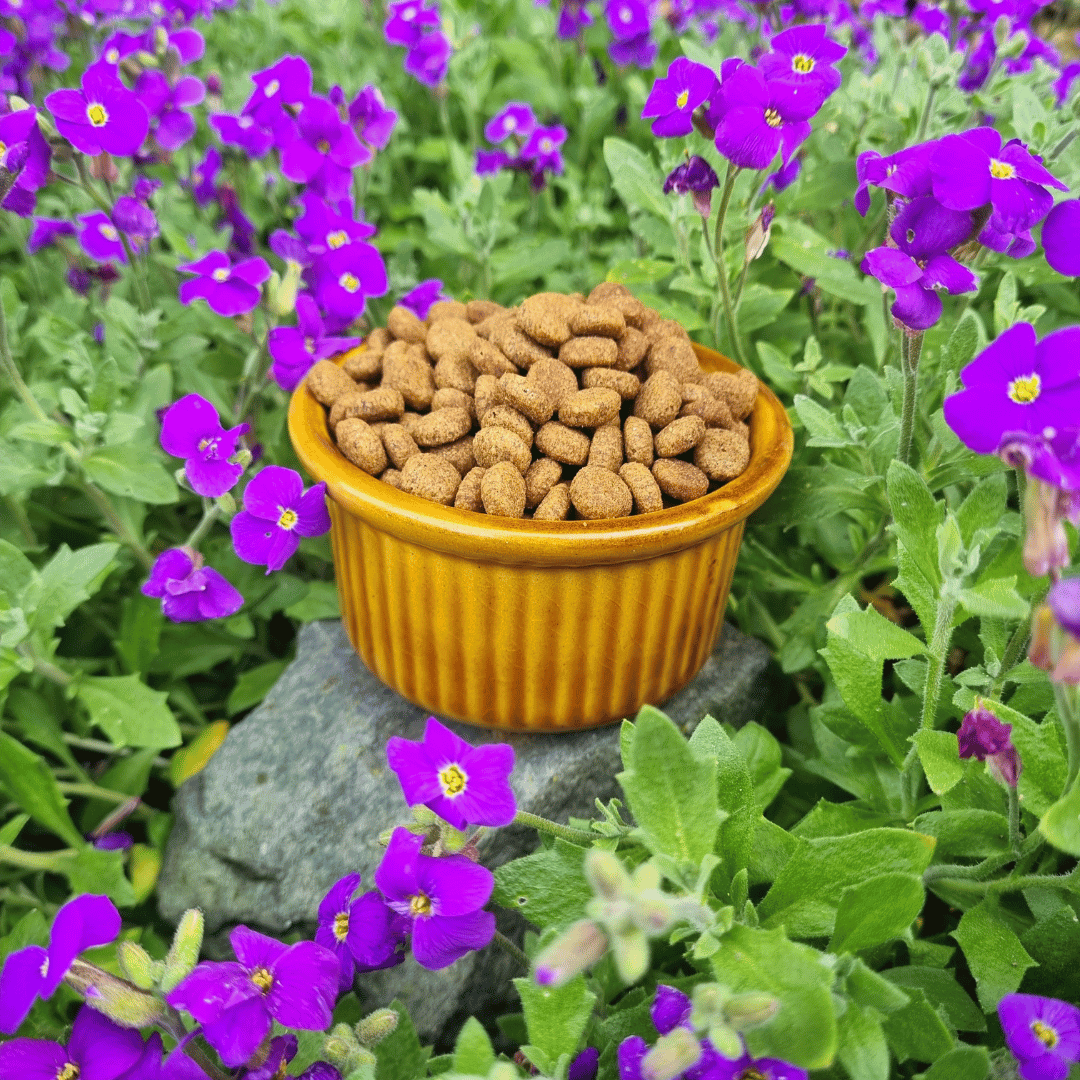 Croquettes sans céréales au Canard et aux Sardines - Chats adultes stérilisés
