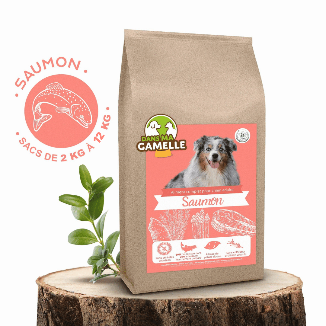 Croquettes sans céréales au Saumon - Chiens moyennes races - DansMaGamelle
