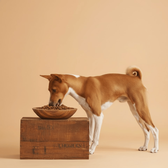 Croquettes chien sans céréales au canard