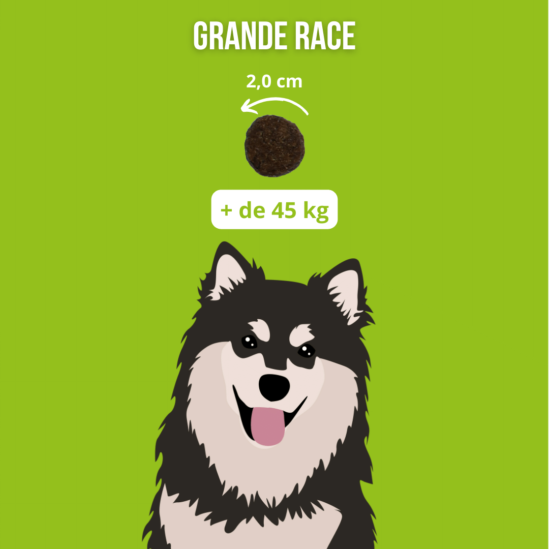 Croquettes sans céréales à la Dinde - 12Kg - Chiens grandes races