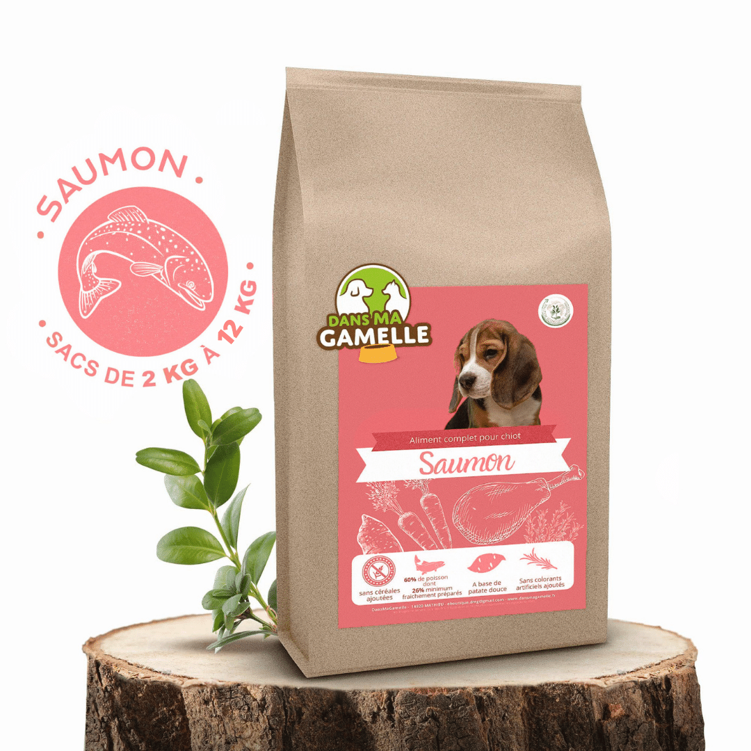 Croquettes sans céréales au Saumon et aiglefin - Chiots (Moyennes races) - DansMaGamelle