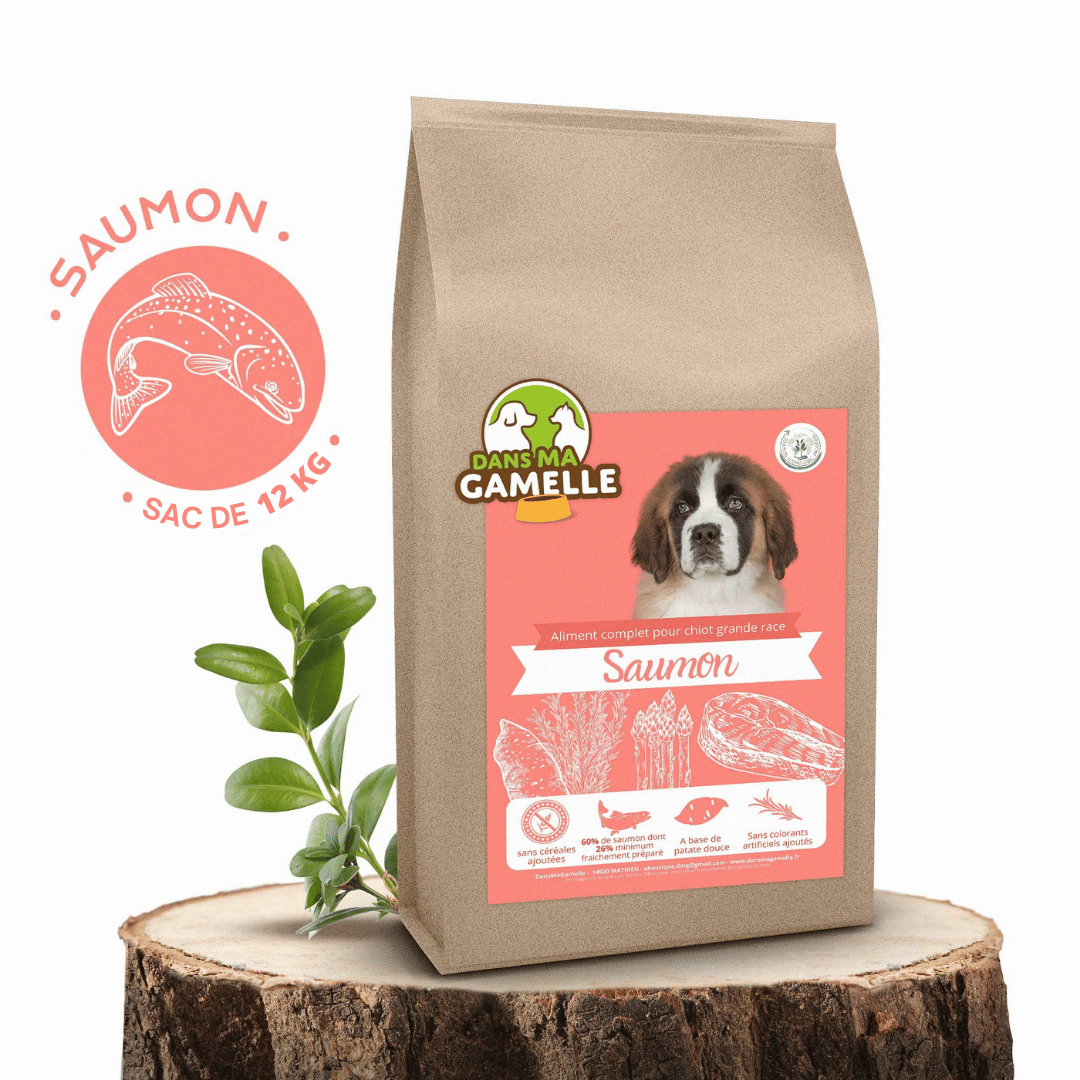 Croquettes sans céréales au Saumon - Chiots (Grandes races) - DansMaGamelle