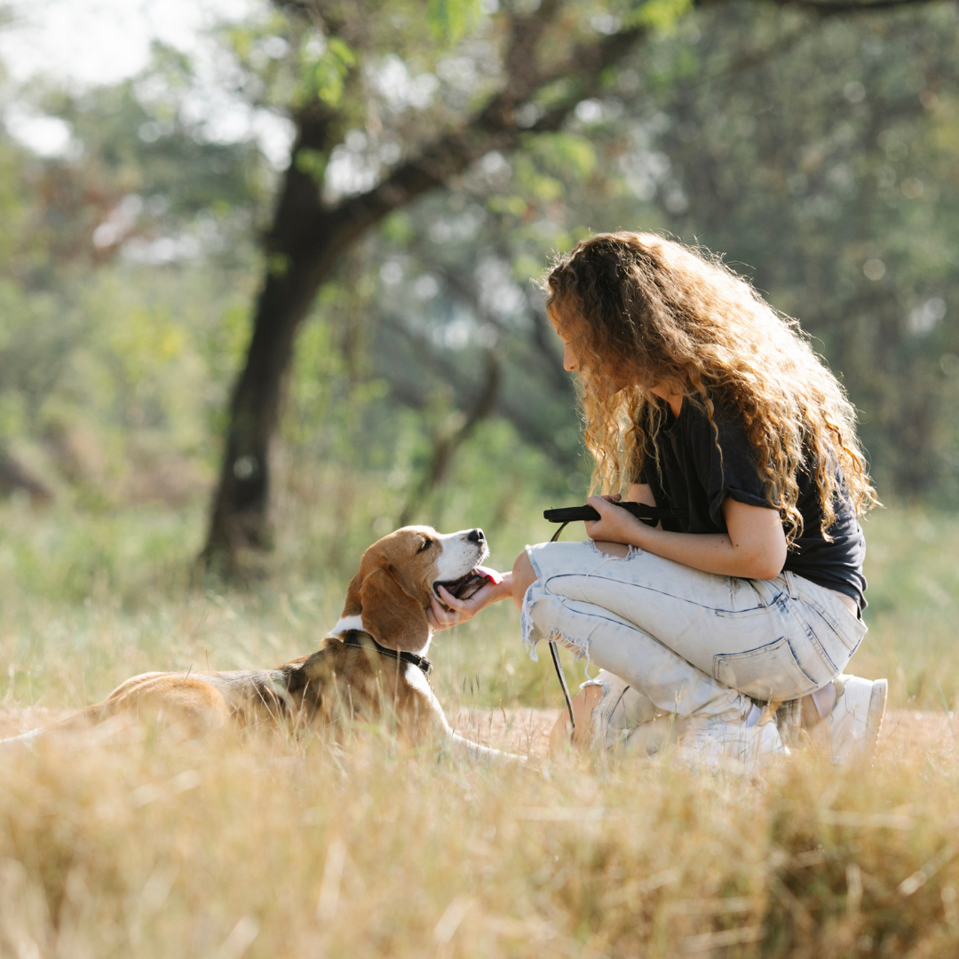 Croquettes hypoallergéniques chien
