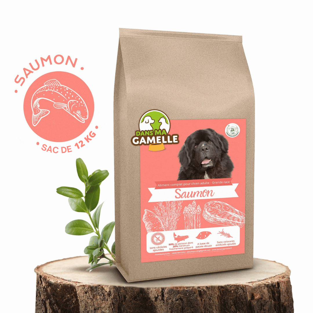 Croquettes sans céréales au Saumon - 12Kg - Chiens grandes races - DansMaGamelle