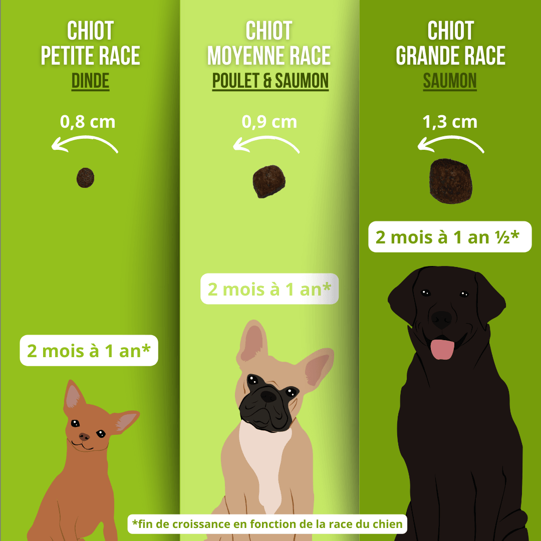 Croquettes sans céréales au Saumon - Chiots (Grandes races) - DansMaGamelle