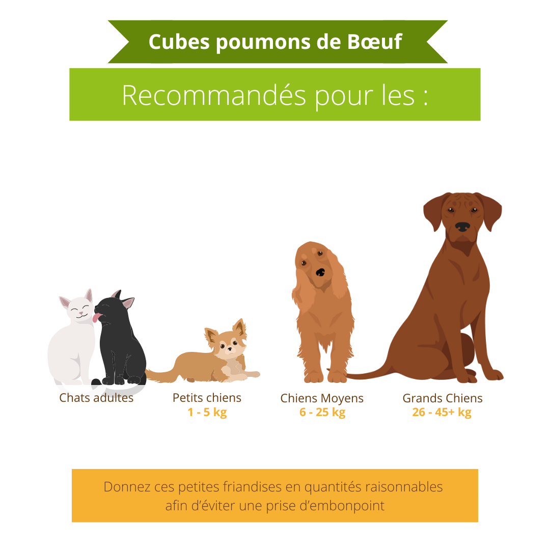 Cubes poumons de bœuf - Chiens et chats