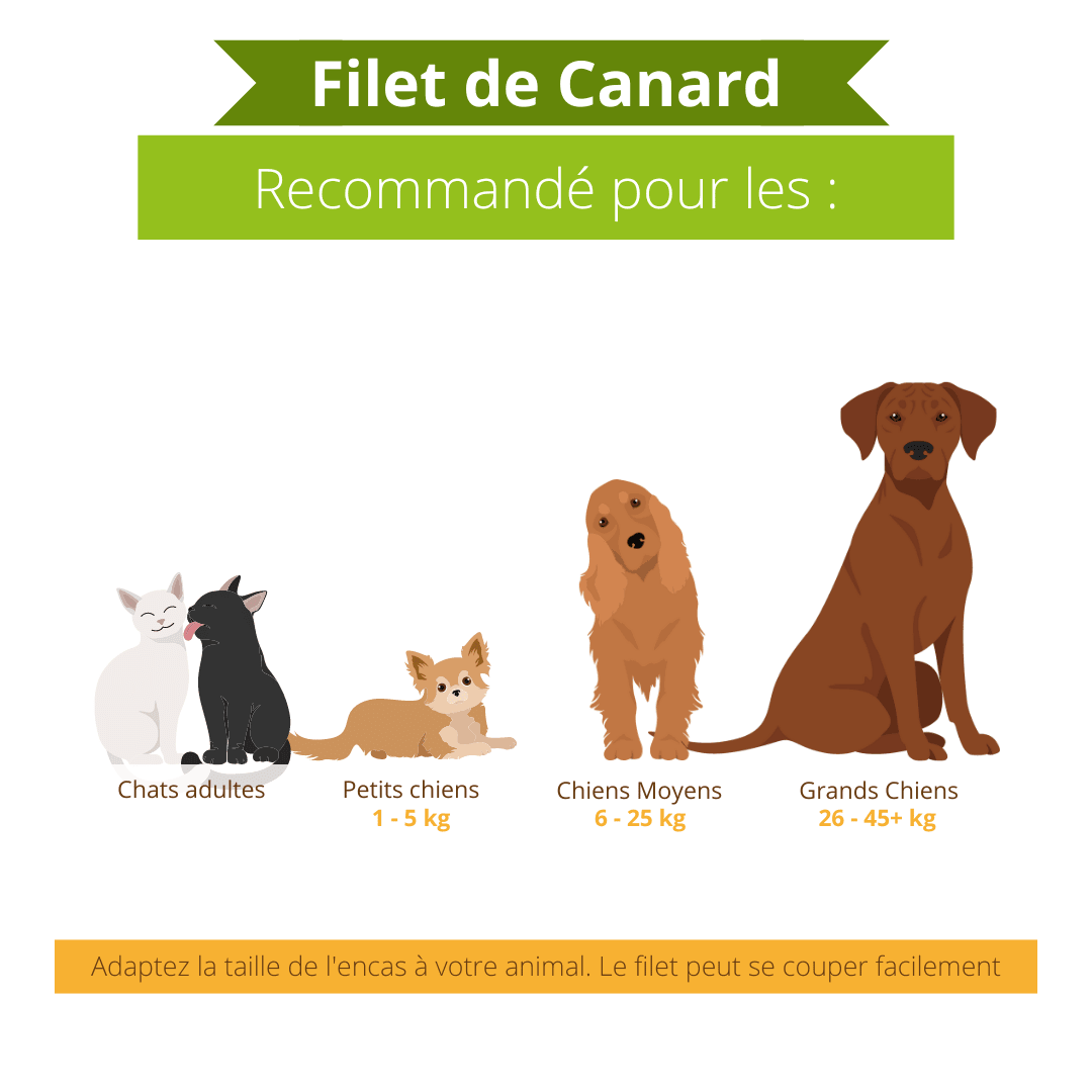Filets de Canard séchés - DansMaGamelle