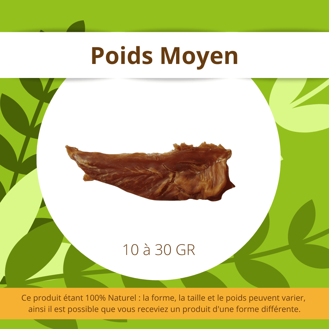Filets de Poulet séchés - DansMaGamelle