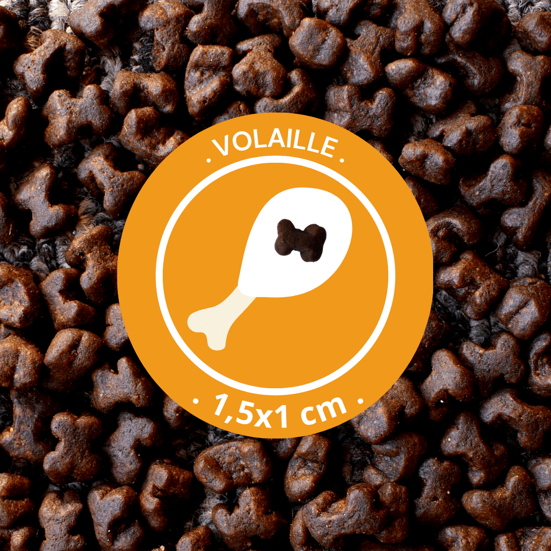 Friandises "Volaille" sans céréales - Chiens et Chats - DansMaGamelle